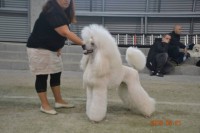 /album/bildgalleri/a13878-10151721431240345-1275035472-n-jpg/