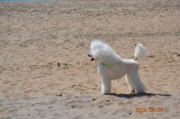 /album/bildgalleri/a150115-10150869016130345-345410066-n-jpg/