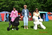 /album/bildgalleri/a293288-10150945443015345-1579539600-n-jpg/