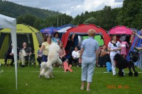 /album/bildgalleri/a320329-10150945444120345-979649169-n-jpg/