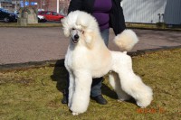 /album/bildgalleri/a419536-10150630685315345-1274841690-n-jpg/