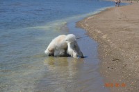 /album/bildgalleri/a481055-10150869009410345-1345087695-n-jpg/