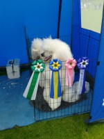 /album/bildgalleri/a531532-10150945235270345-1340340330-n-jpg/