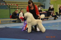 /album/bildgalleri/a542626-10151363951715345-289670002-n-jpg/