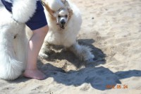 /album/bildgalleri/a542996-10150869016280345-1202153553-n-jpg/