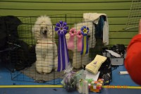 /album/bildgalleri/a555166-10151363950800345-1080393352-n-jpg/