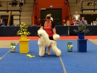 /album/bildgalleri/a943036-10151476430180345-1031747132-n-jpg/