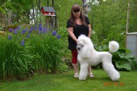 /album/bildgalleri/a1003966-10151519239280345-534988731-n-jpg/