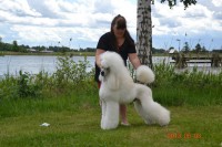 /album/bildgalleri/a1005570-10151519238060345-421488602-n-jpg/