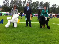 /album/bildgalleri/a1017261-10151555424610345-597620844-n-jpg/