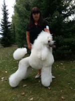 /album/bildgalleri/a1237636-10151715752760345-127325228-n-jpg/