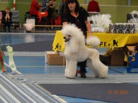 /album/bildgalleri/a1920343-10152042434610345-1615232856-n-jpg/