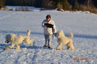 /album/bildgalleri/dsc-5159-jpg/